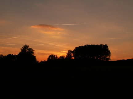 20060804 215851